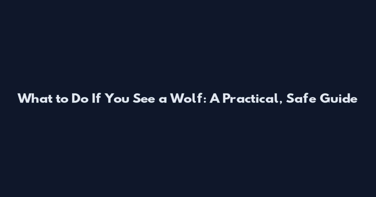 What to Do If You See a Wolf: A Practical, Safe Guide