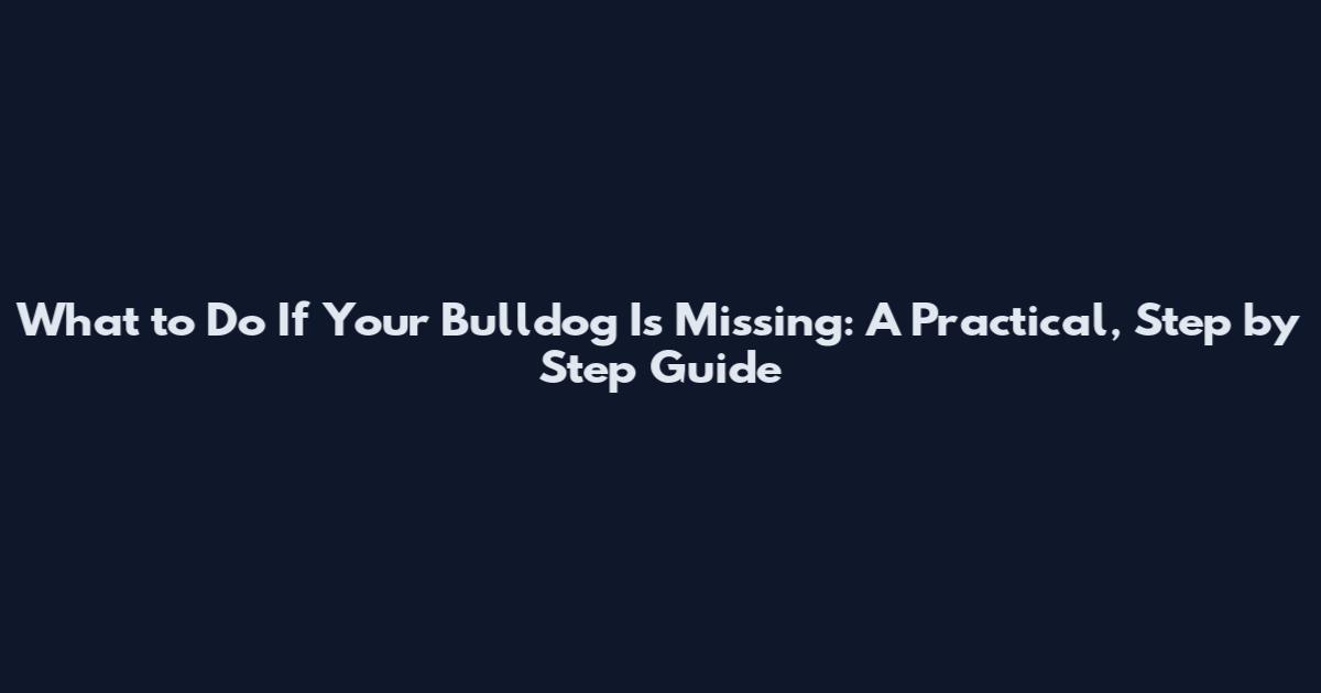 What to Do If Your Bulldog Is Missing: A Practical, Step by Step Guide