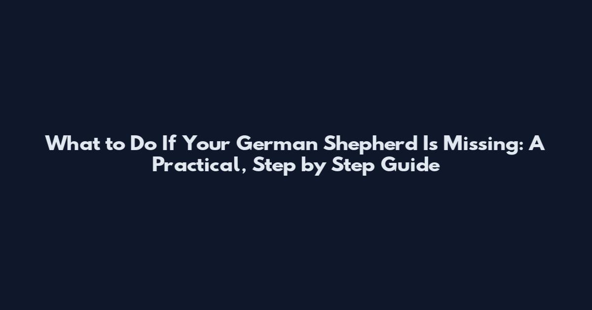 What to Do If Your German Shepherd Is Missing: A Practical, Step by Step Guide