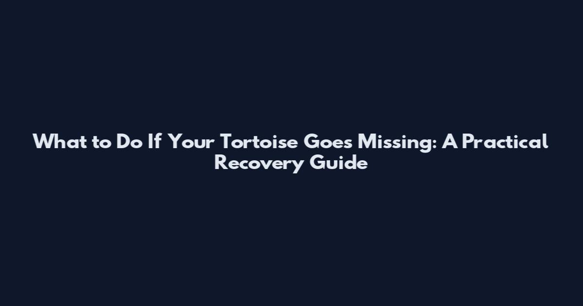What to Do If Your Tortoise Goes Missing: A Practical Recovery Guide