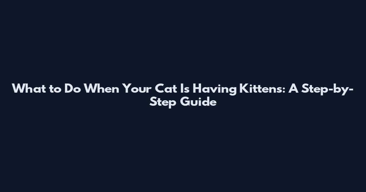 What to Do When Your Cat Is Having Kittens: A Step-by-Step Guide