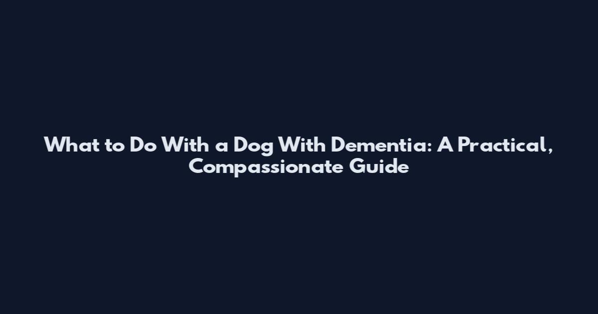 What to Do With a Dog With Dementia: A Practical, Compassionate Guide
