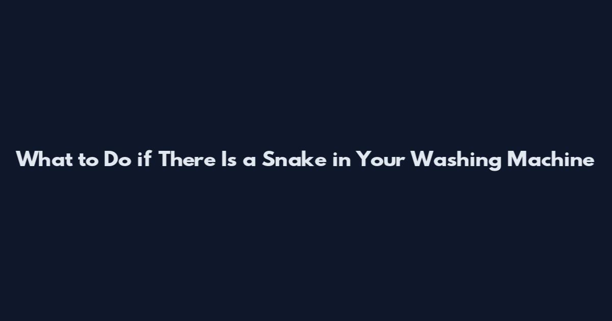 What to Do if There Is a Snake in Your Washing Machine