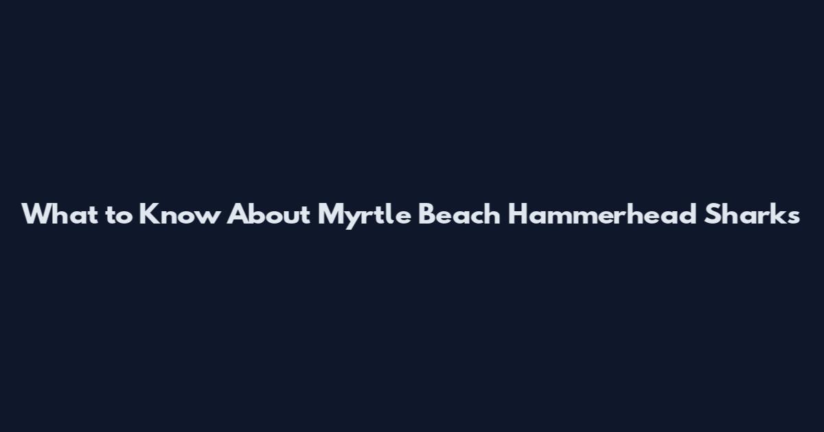 What to Know About Myrtle Beach Hammerhead Sharks
