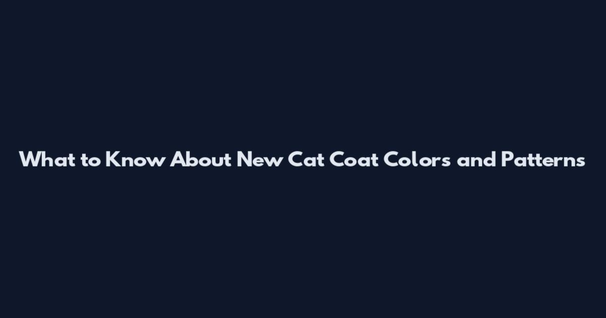 What to Know About New Cat Coat Colors and Patterns