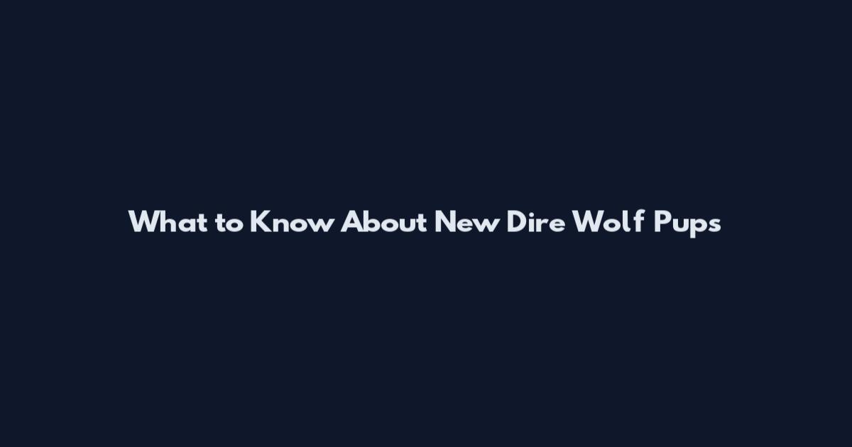 What to Know About New Dire Wolf Pups