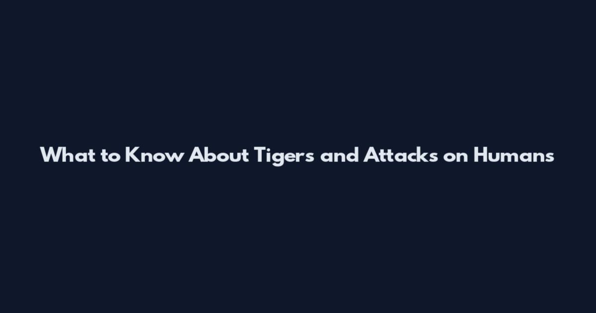 What to Know About Tigers and Attacks on Humans