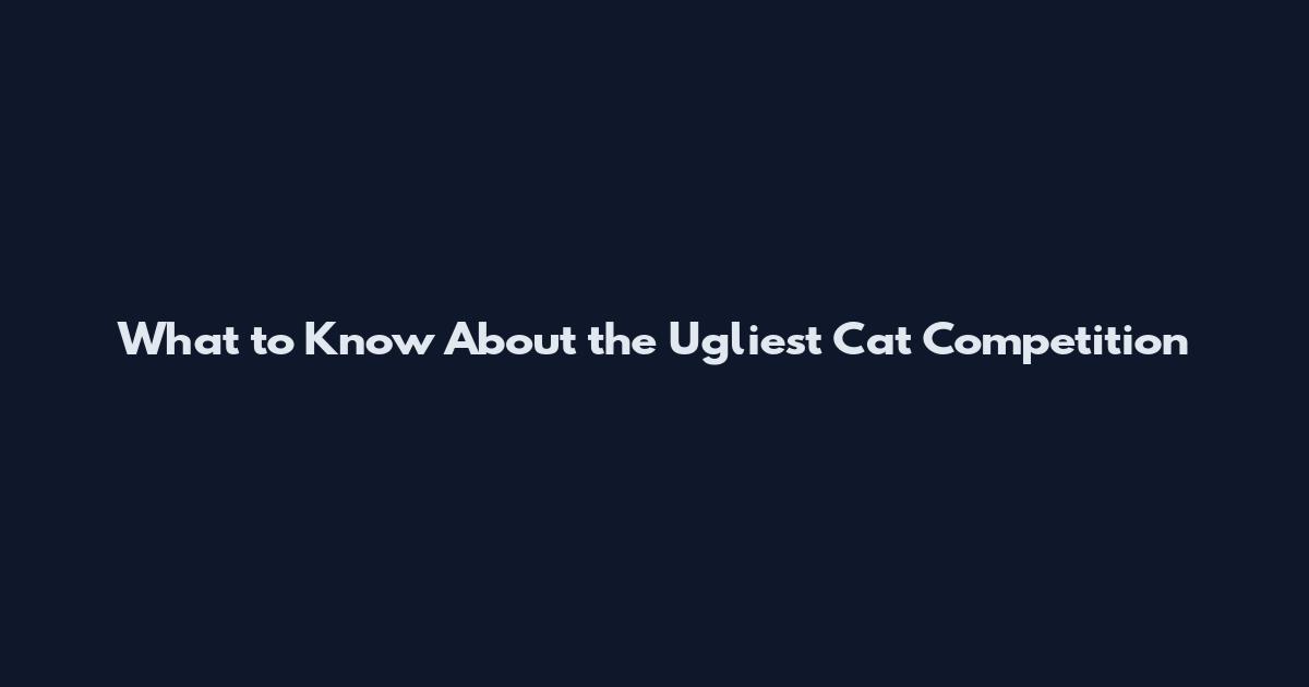 What to Know About the Ugliest Cat Competition