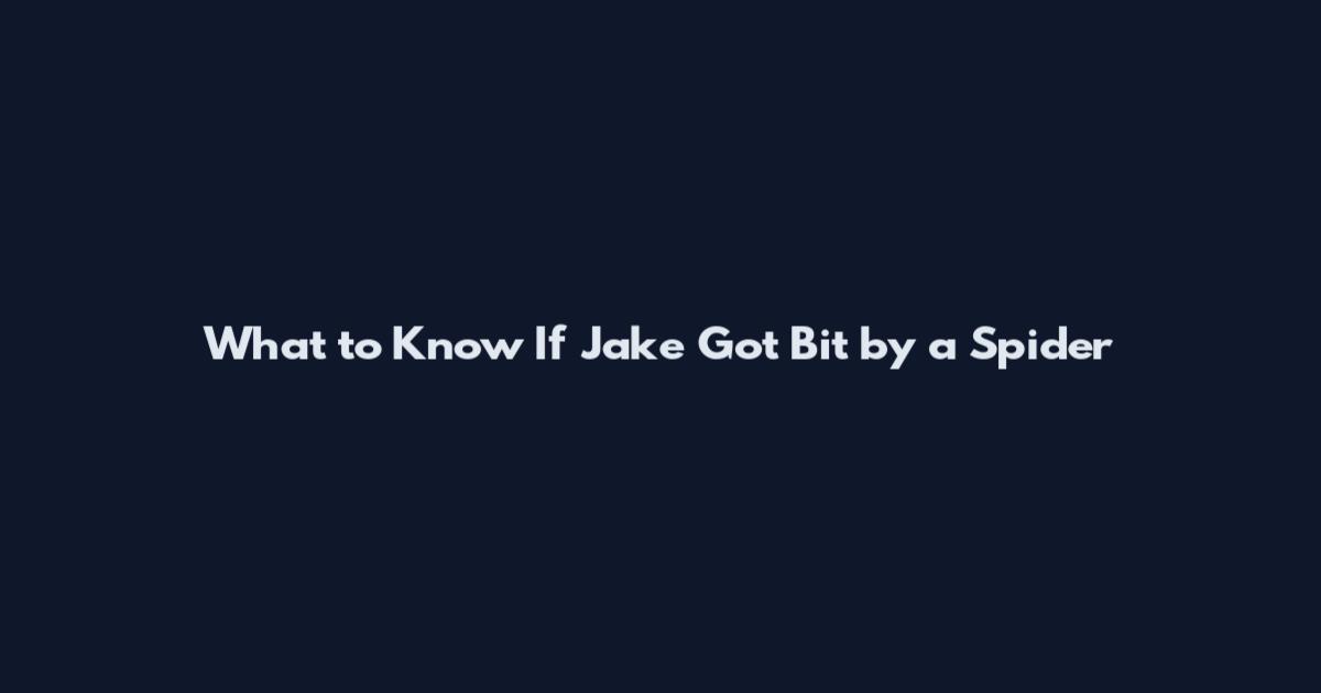 What to Know If Jake Got Bit by a Spider