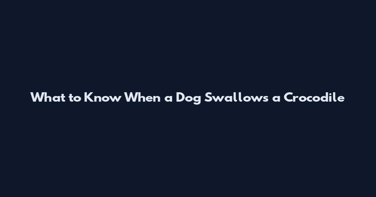 What to Know When a Dog Swallows a Crocodile