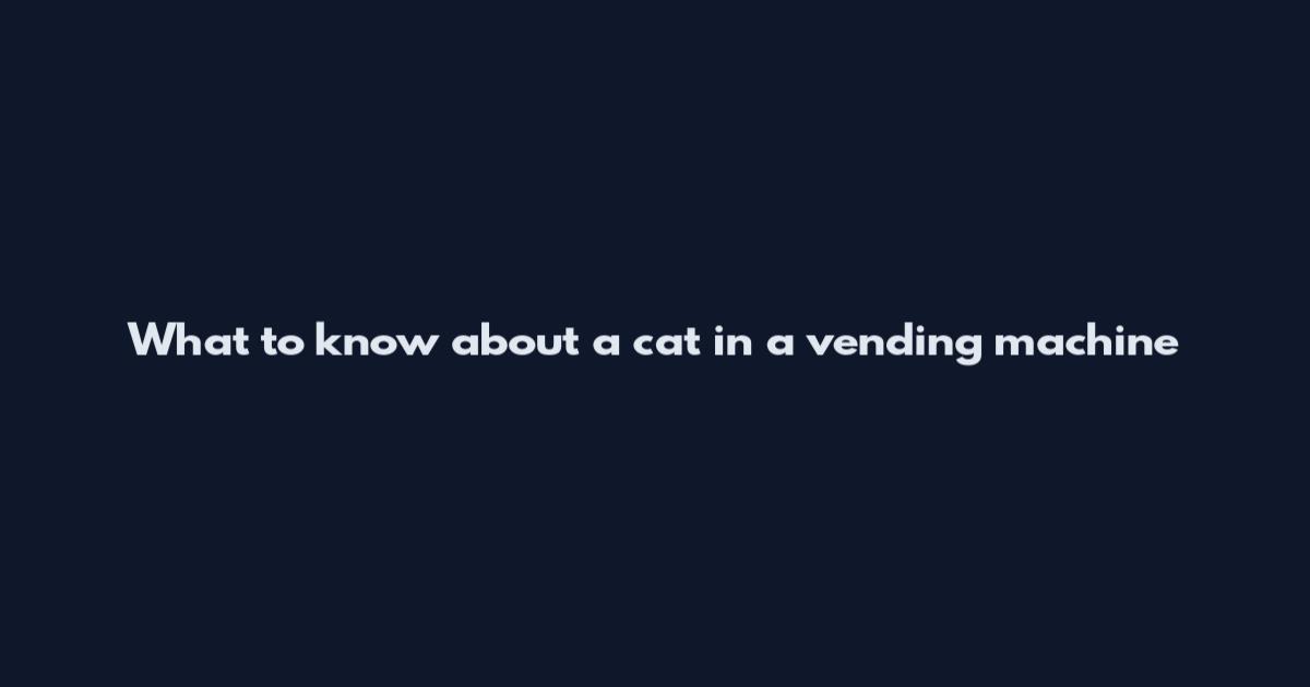 What to know about a cat in a vending machine