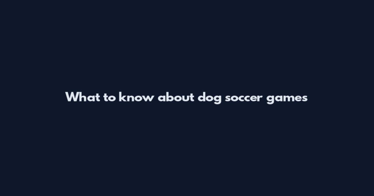 What to know about dog soccer games