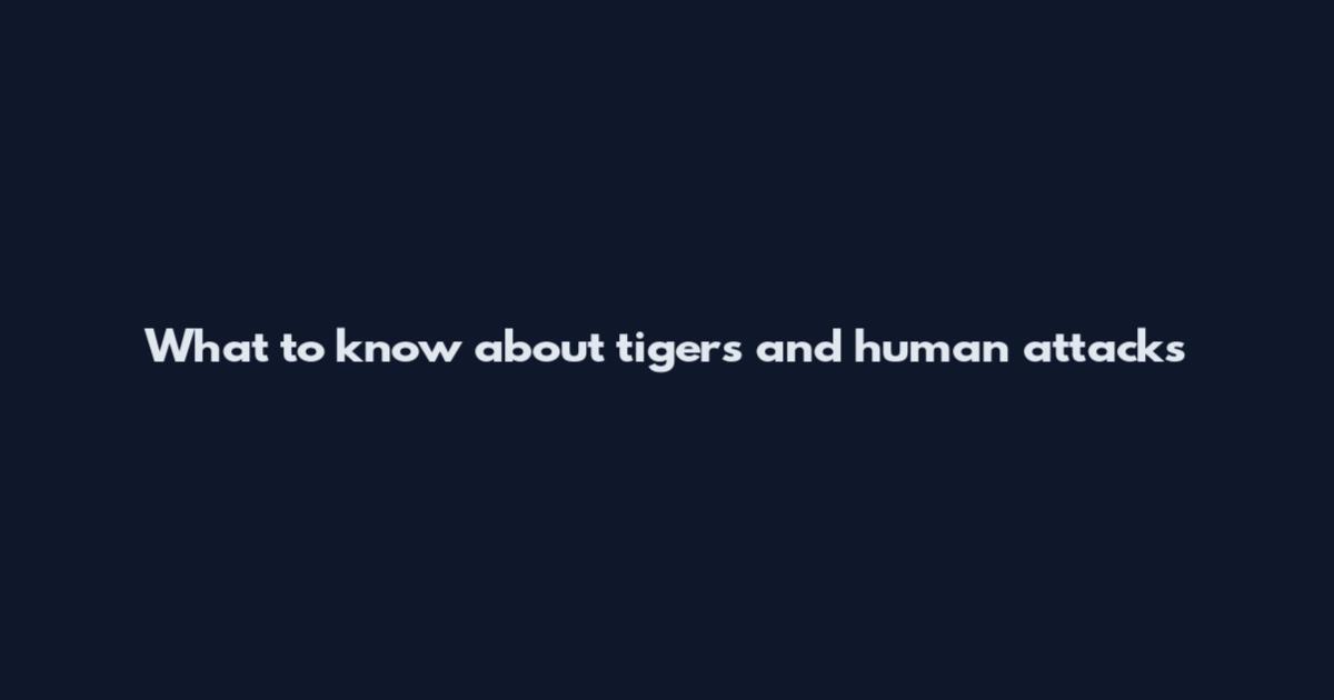 What to know about tigers and human attacks