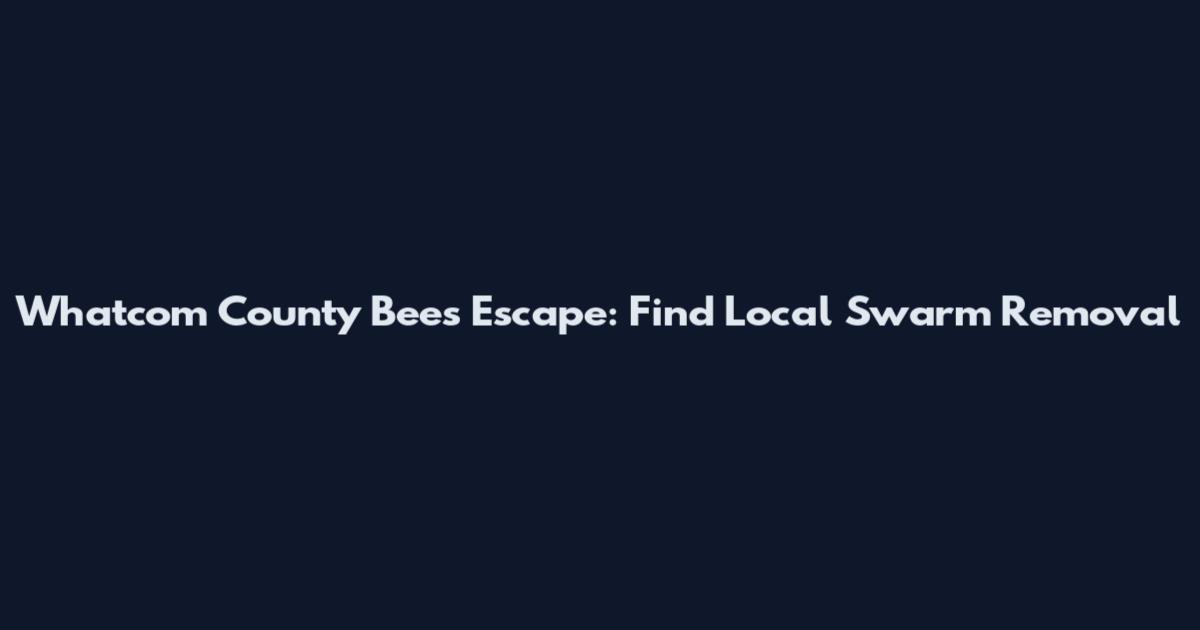 Whatcom County Bees Escape: Find Local Swarm Removal
