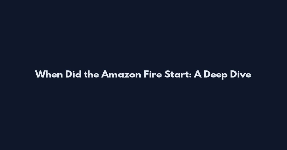 When Did the Amazon Fire Start: A Deep Dive
