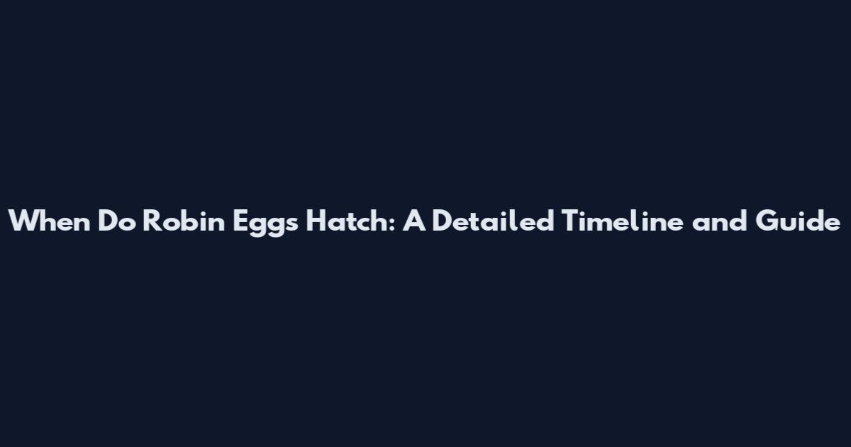 When Do Robin Eggs Hatch: A Detailed Timeline and Guide