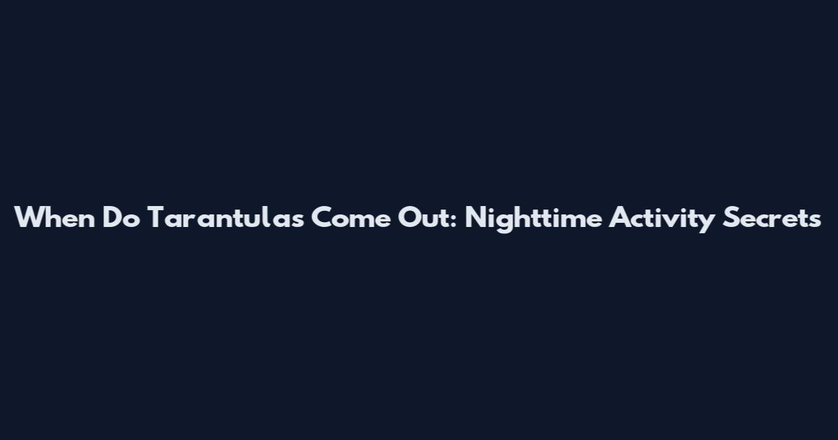 When Do Tarantulas Come Out: Nighttime Activity Secrets