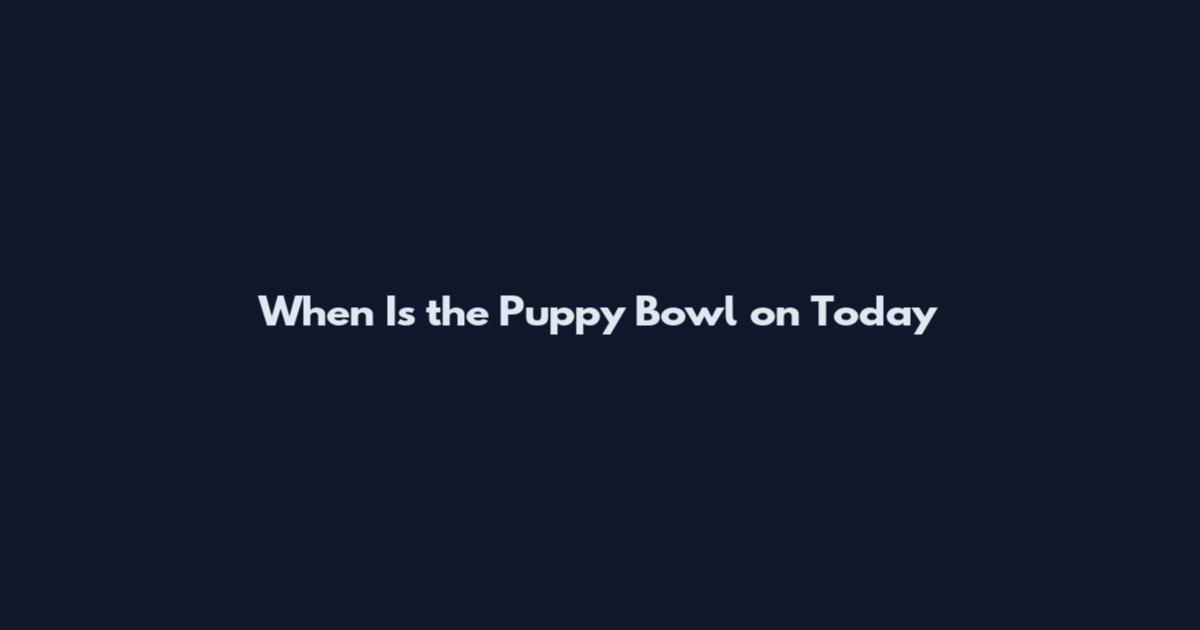 When Is the Puppy Bowl on Today