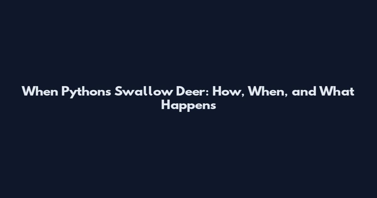When Pythons Swallow Deer: How, When, and What Happens