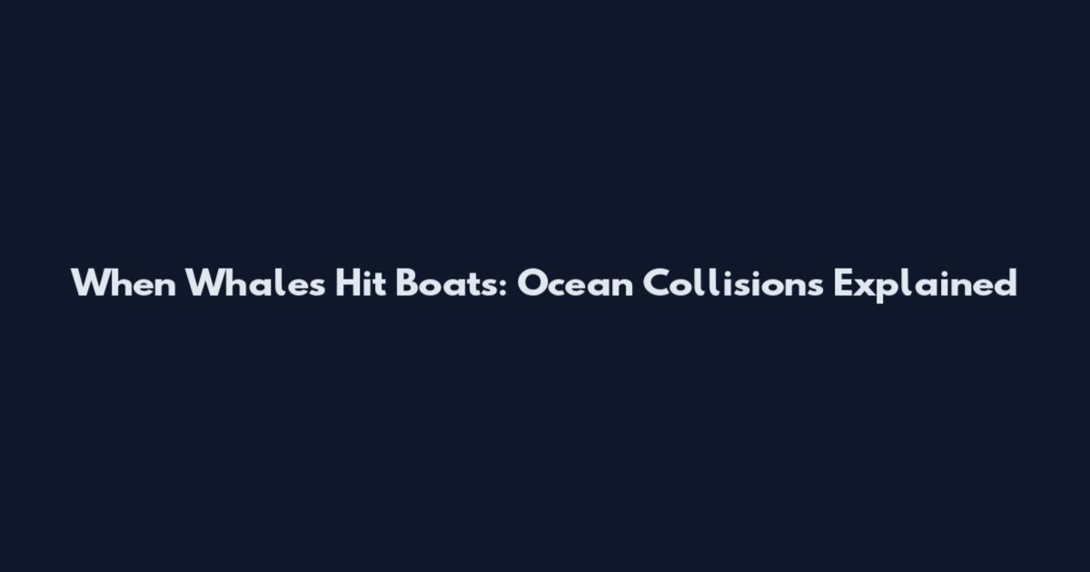 When Whales Hit Boats: Ocean Collisions Explained