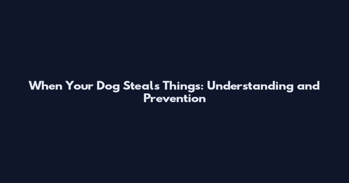 When Your Dog Steals Things: Understanding and Prevention