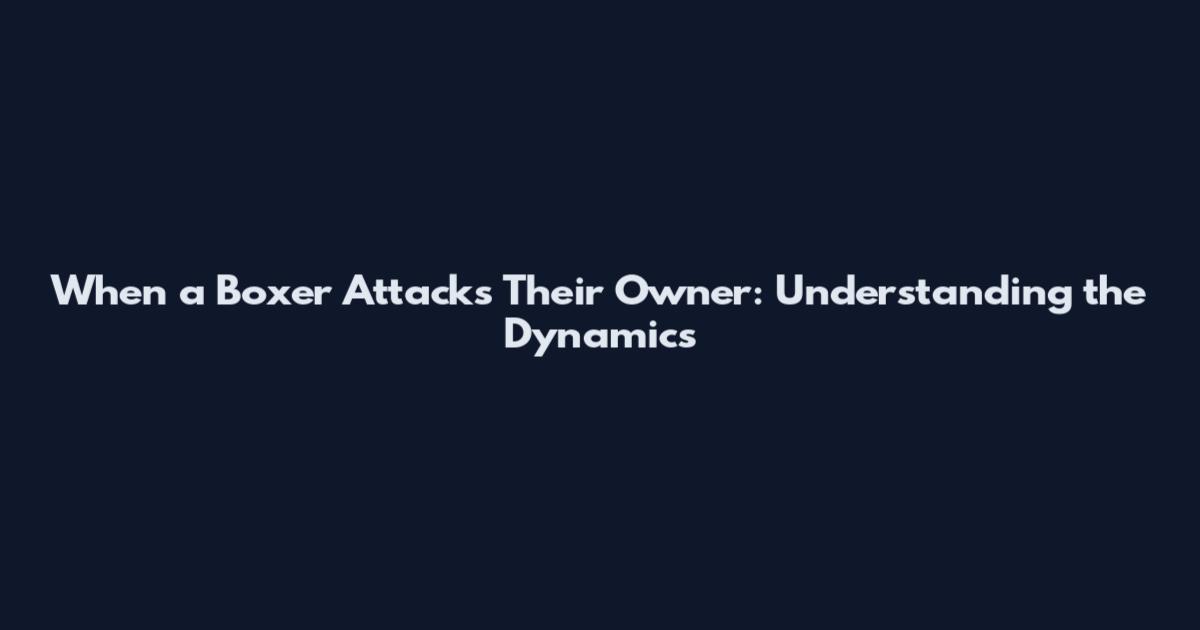 When a Boxer Attacks Their Owner: Understanding the Dynamics