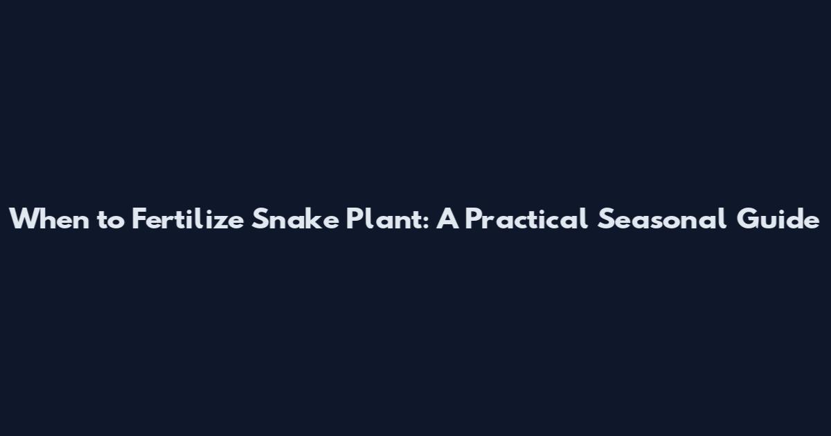 When to Fertilize Snake Plant: A Practical Seasonal Guide