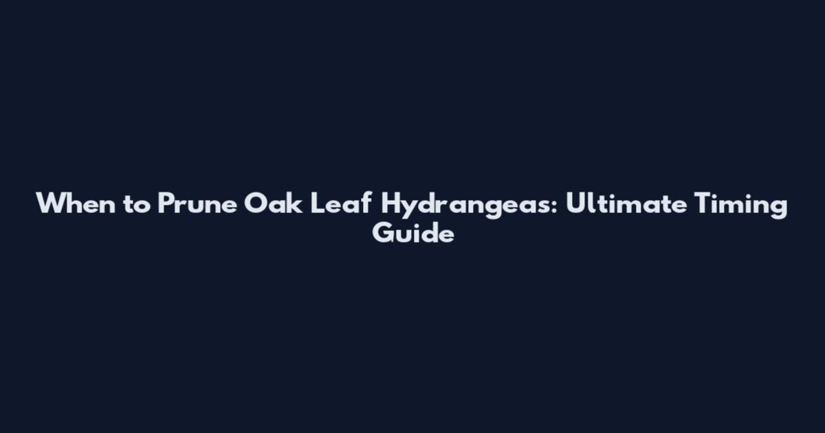 When to Prune Oak Leaf Hydrangeas: Ultimate Timing Guide