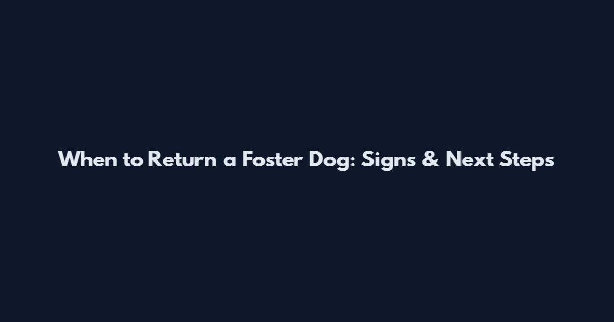 When to Return a Foster Dog: Signs & Next Steps