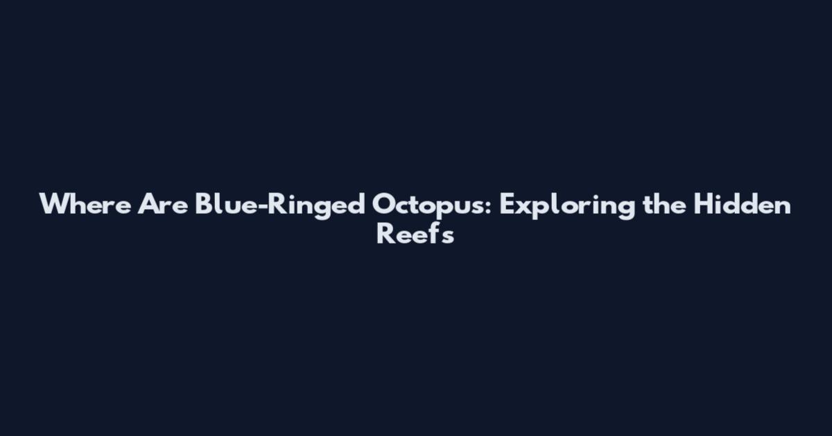 Where Are Blue-Ringed Octopus: Exploring the Hidden Reefs