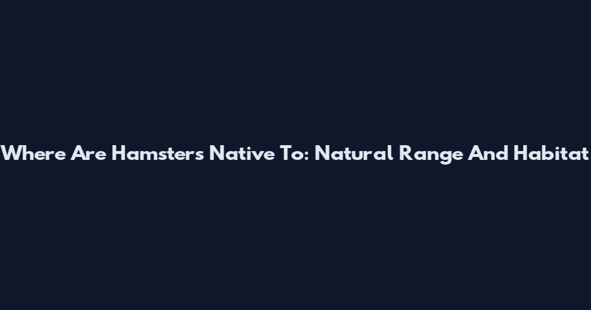 Where Are Hamsters Native To: Natural Range And Habitat