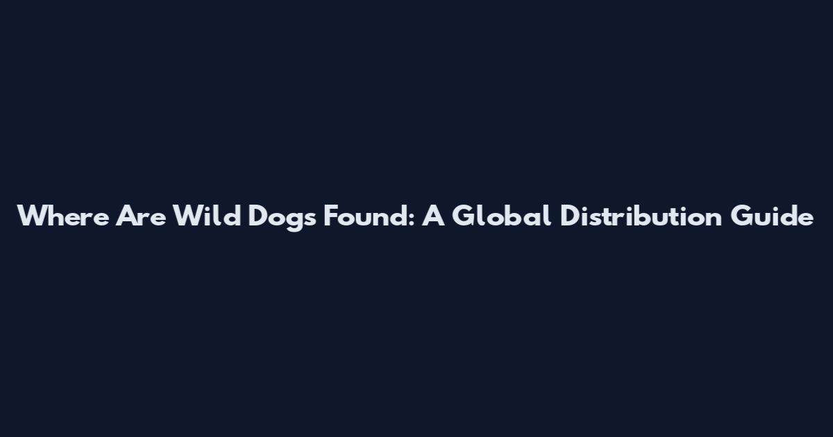 Where Are Wild Dogs Found: A Global Distribution Guide