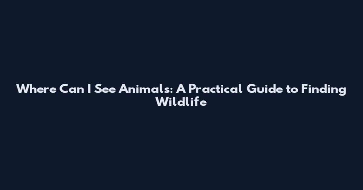 Where Can I See Animals: A Practical Guide to Finding Wildlife
