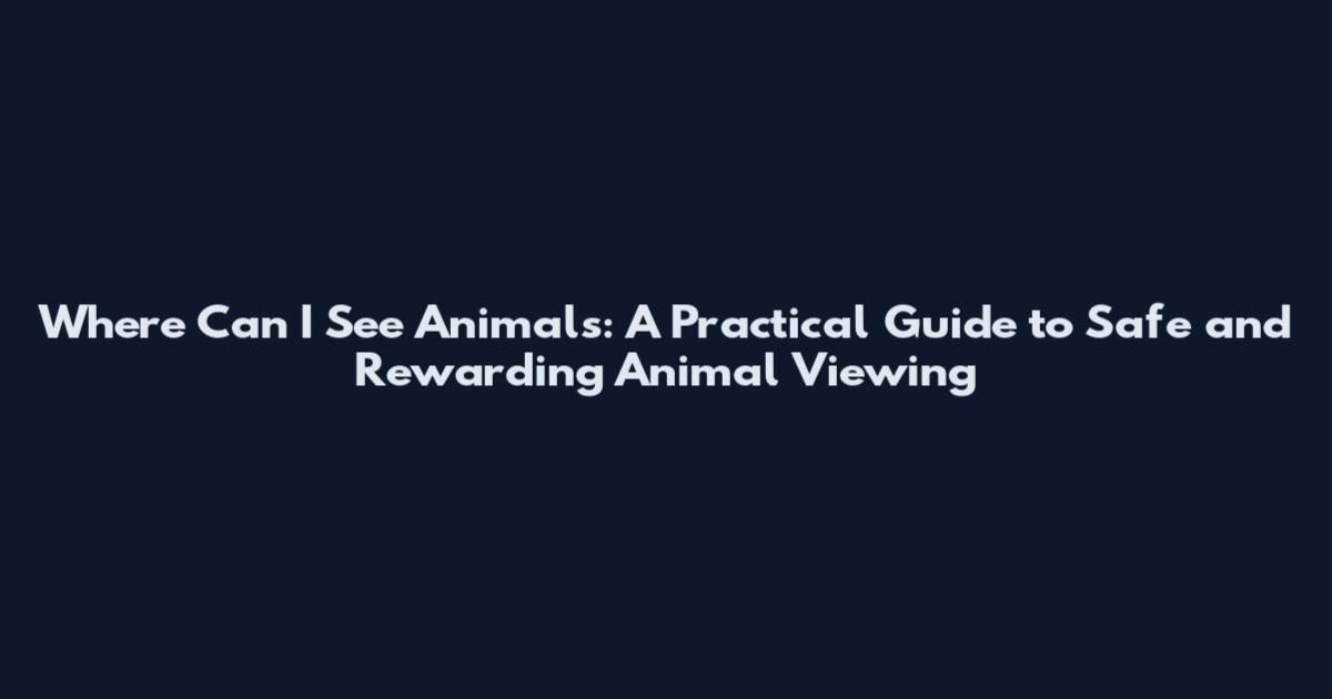 Where Can I See Animals: A Practical Guide to Safe and Rewarding Animal Viewing