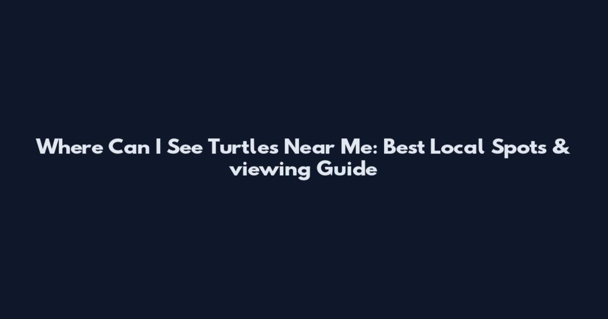 Where Can I See Turtles Near Me: Best Local Spots & viewing Guide