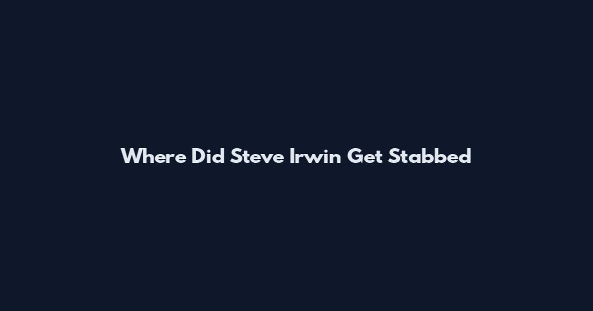 Where Did Steve Irwin Get Stabbed