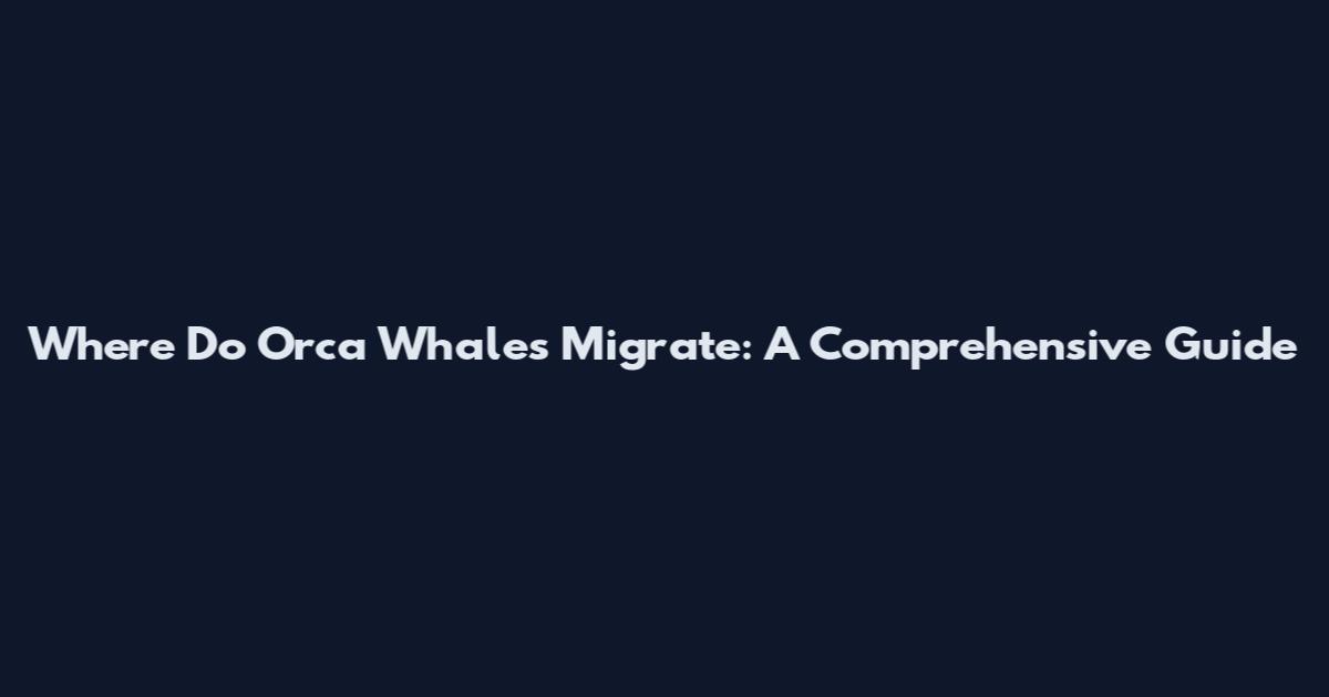 Where Do Orca Whales Migrate: A Comprehensive Guide