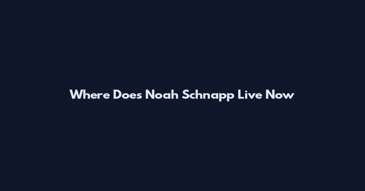 Where Does Noah Schnapp Live Now