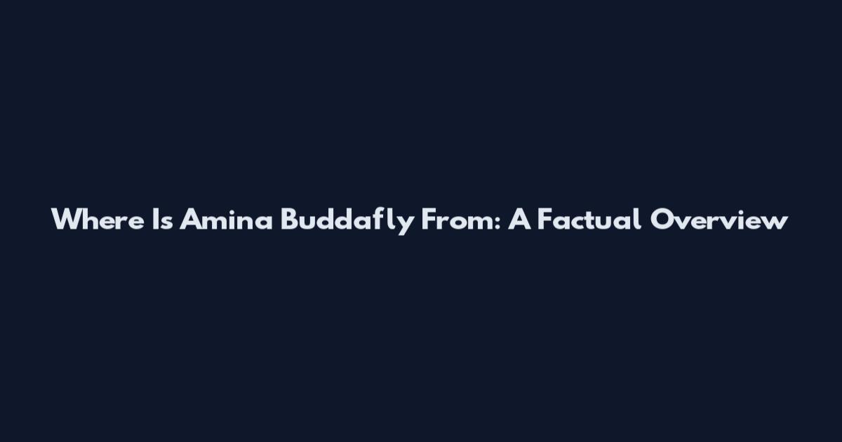 Where Is Amina Buddafly From: A Factual Overview
