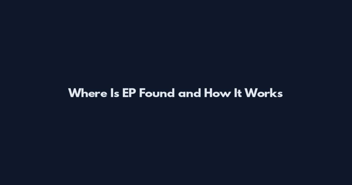 Where Is EP Found and How It Works