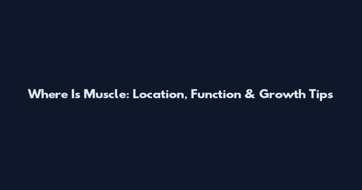 Where Is Muscle: Location, Function & Growth Tips