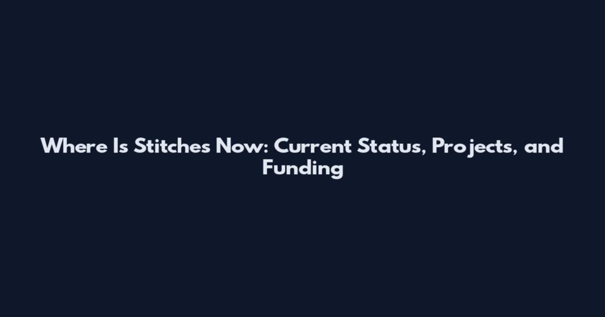 Where Is Stitches Now: Current Status, Projects, and Funding