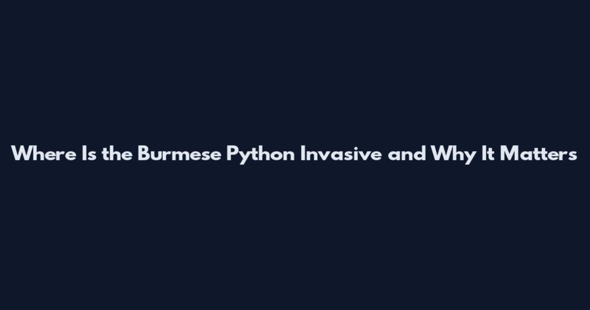 Where Is the Burmese Python Invasive and Why It Matters