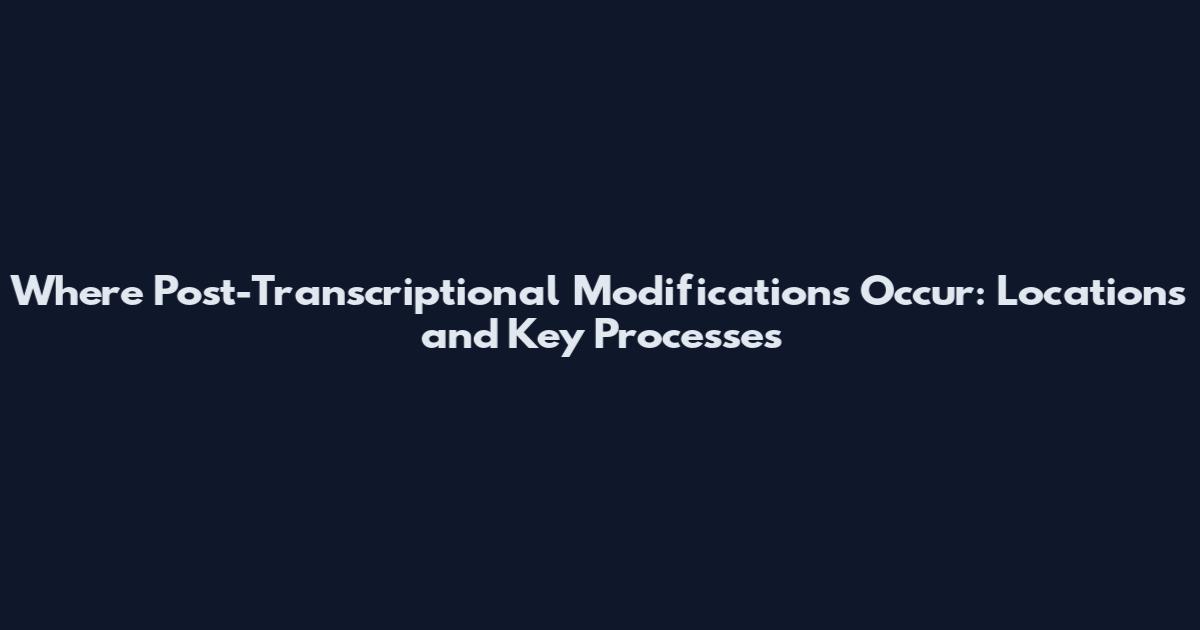 Where Post-Transcriptional Modifications Occur: Locations and Key Processes