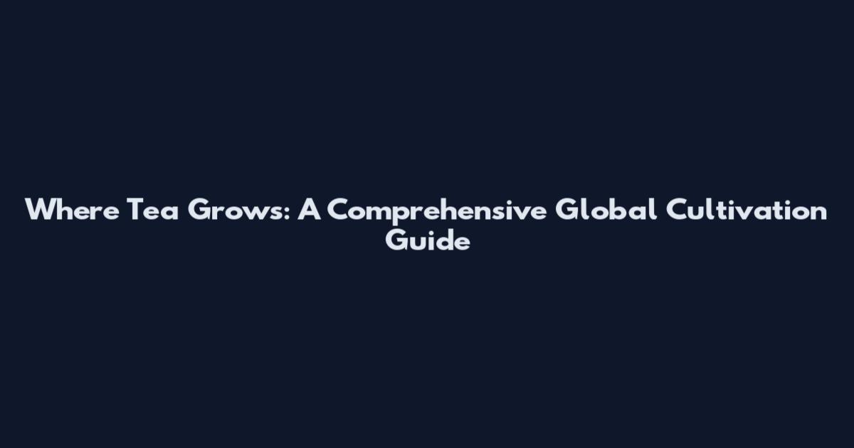 Where Tea Grows: A Comprehensive Global Cultivation Guide