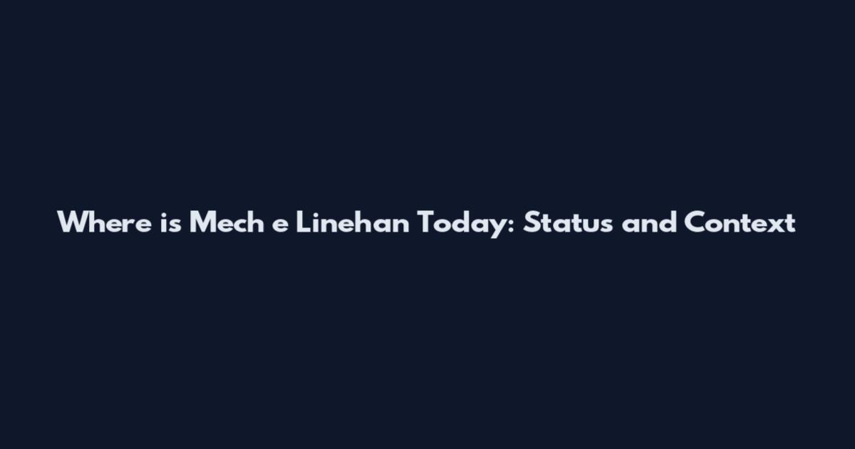 Where is Mech e Linehan Today: Status and Context