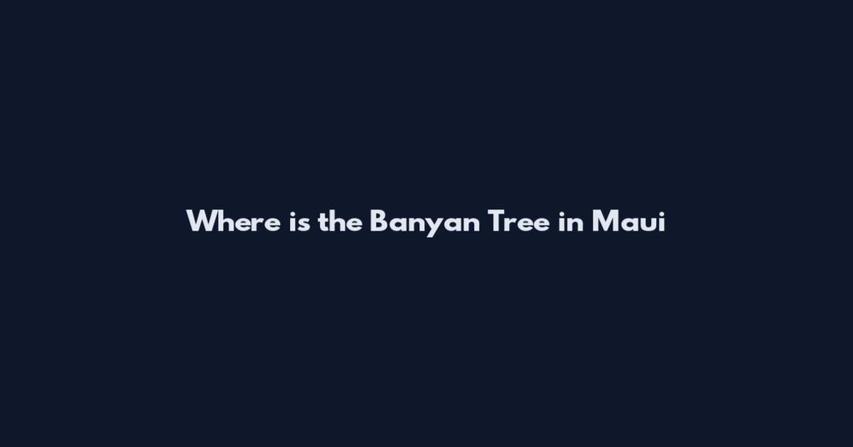 Where is the Banyan Tree in Maui