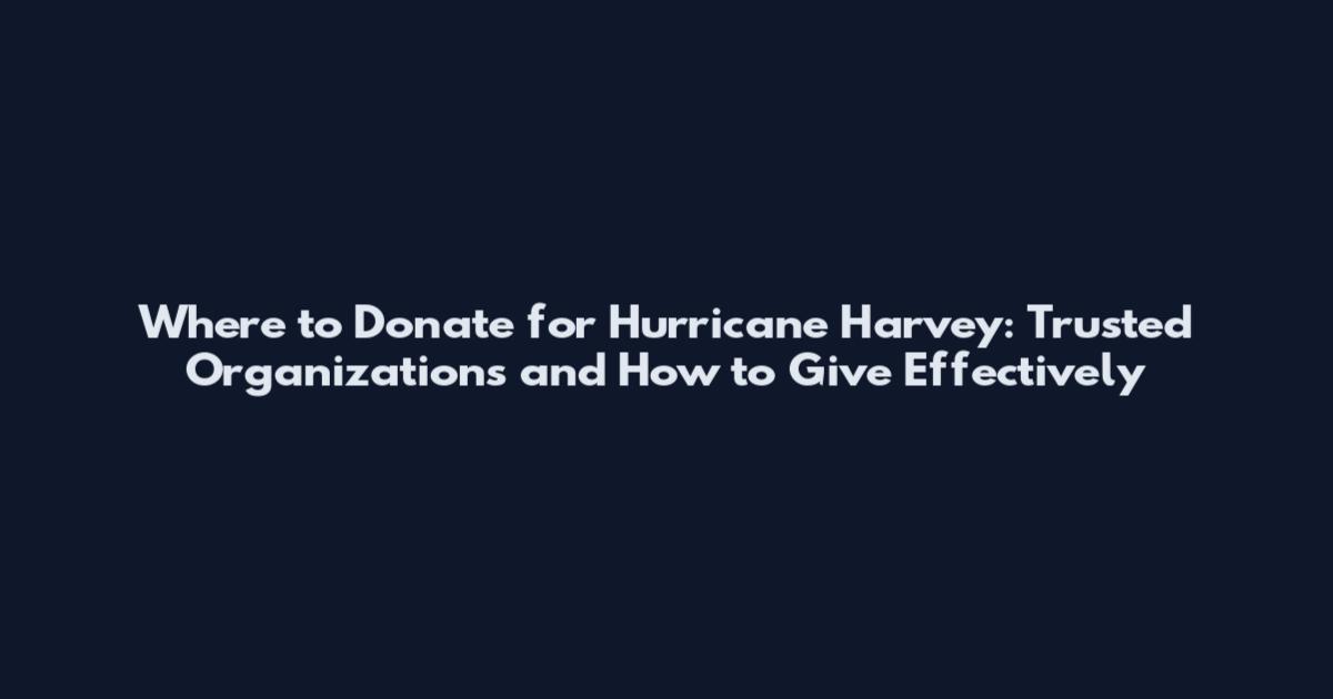 Where to Donate for Hurricane Harvey: Trusted Organizations and How to Give Effectively