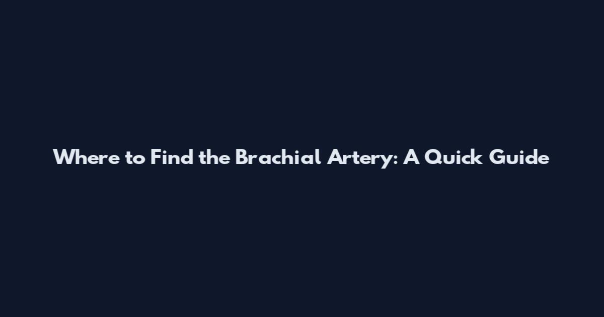 Where to Find the Brachial Artery: A Quick Guide