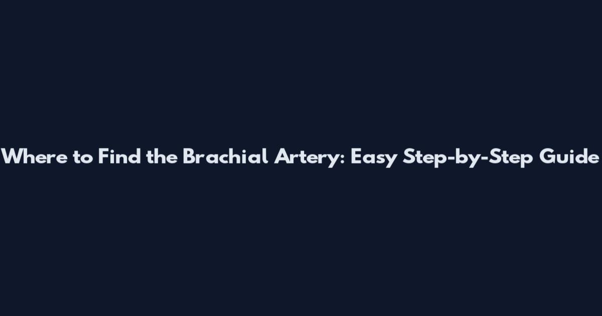 Where to Find the Brachial Artery: Easy Step-by-Step Guide